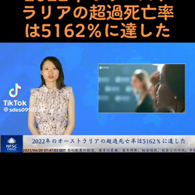 また騙す準備をしているのですよの画像