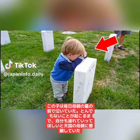 絶望の中だからこそ奇跡は起こるの画像