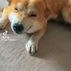祖父の言葉の画像