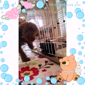 遊ぼの画像