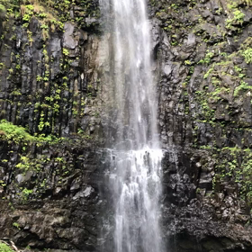 滝の画像
