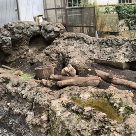 なかよしの画像