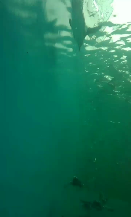 2クール①回目の記事動画