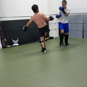 ライトスパーの画像