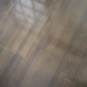 骨が…の画像