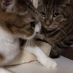 ７月２９日の画像