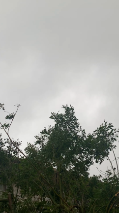 沖縄台風６号。停電から36時間経ちました。現状ですの記事動画