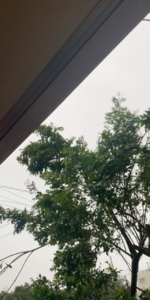 沖縄台風６号カヌーン！停電から17時間。の記事動画