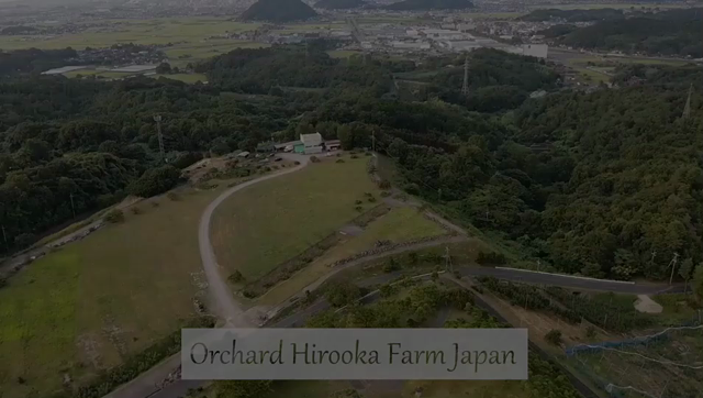天候に左右されないオンラインビジネス◆なんでも出来るようになろう！の記事動画