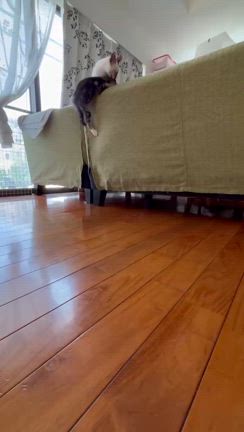 ベスト8おめでとうございますの記事動画