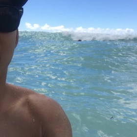 Hawaii⑥の画像