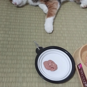 2022/12/29の画像