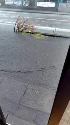 車内も車外も台風の記事動画