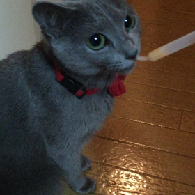 おくすりみみちゃんの画像