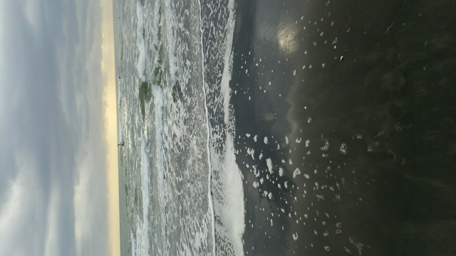 そうだ！海に行こう♪の記事動画