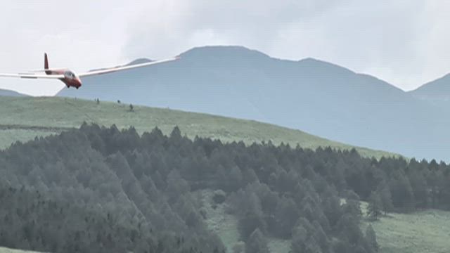 動画だけの記事動画