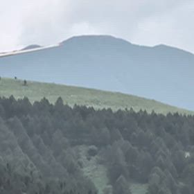 動画だけの画像