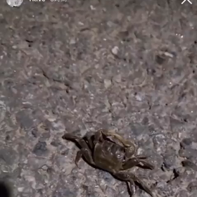 BTS☆RM Instagram Story　220704の画像
