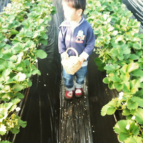 花盛り♪の画像