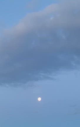 カクテルパーティー♡の記事動画