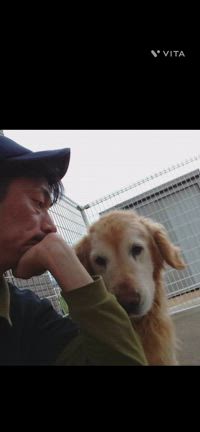 ワンだっふる✨️の記事動画