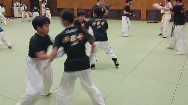 修勇會.team 新選組❗の記事動画