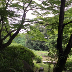 7月の画像