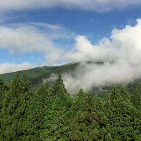 朝散歩の画像