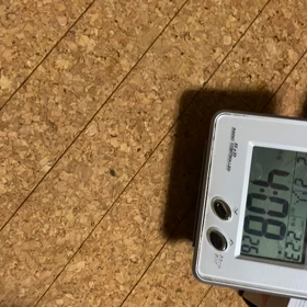 ２月２日のサイコロKOの画像