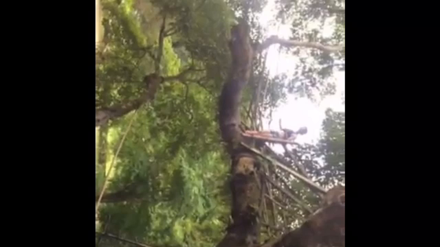 【未成年飲酒】ブルーラグーンで泥酔の記事動画