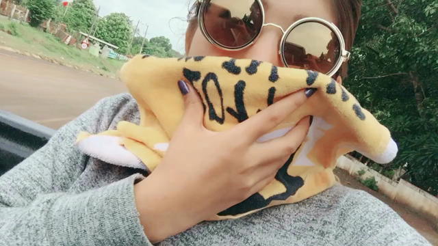 天窓、突如現るの記事動画