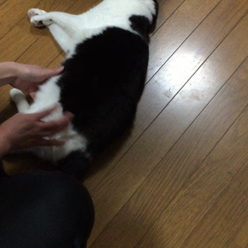 お掃除ロボットあーちゃんの画像