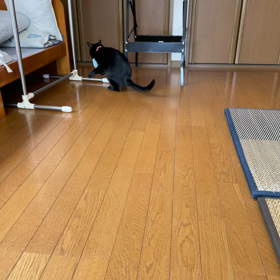 ポケットティッシュがLOVEの画像