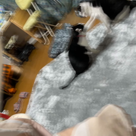 寒いけど、よく晴れた！の画像