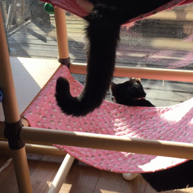 癒しだ！の画像