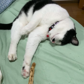 雨が凄いよ！の画像