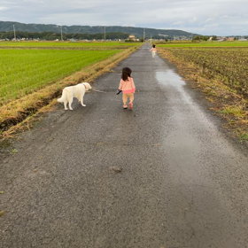 清掃センターへ～の画像
