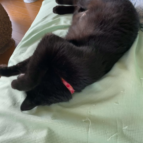 ゆっくりな日の画像