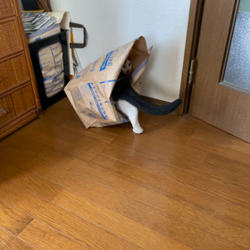 蒸し暑い！の画像