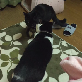夜も暖かいの画像