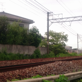 本線特急が駆け抜けるの画像