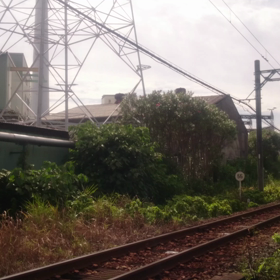 岐阜でゆったりローカル線の旅の画像