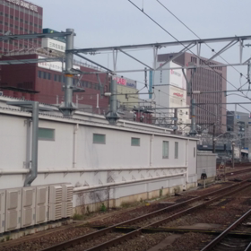 サメが駆け抜ける〜の画像