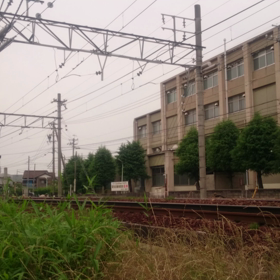 名鉄新型の本線特急が駆け抜けるの画像