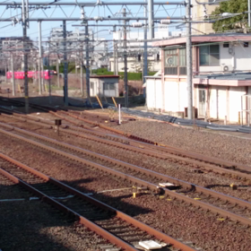 313系が駆け抜けるの画像