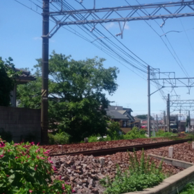 名鉄ラッピング車が晴天の名古屋を駆け抜けるの画像