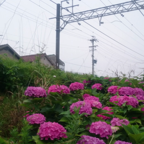 夕方の名古屋は突然の豪雨(>_<)の画像