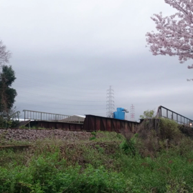 赤ホキが名古屋臨海地区を駆け抜けるの画像