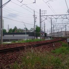 本線特急が駆け抜  けるの画像
