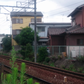 本物のパノラマsuperの画像